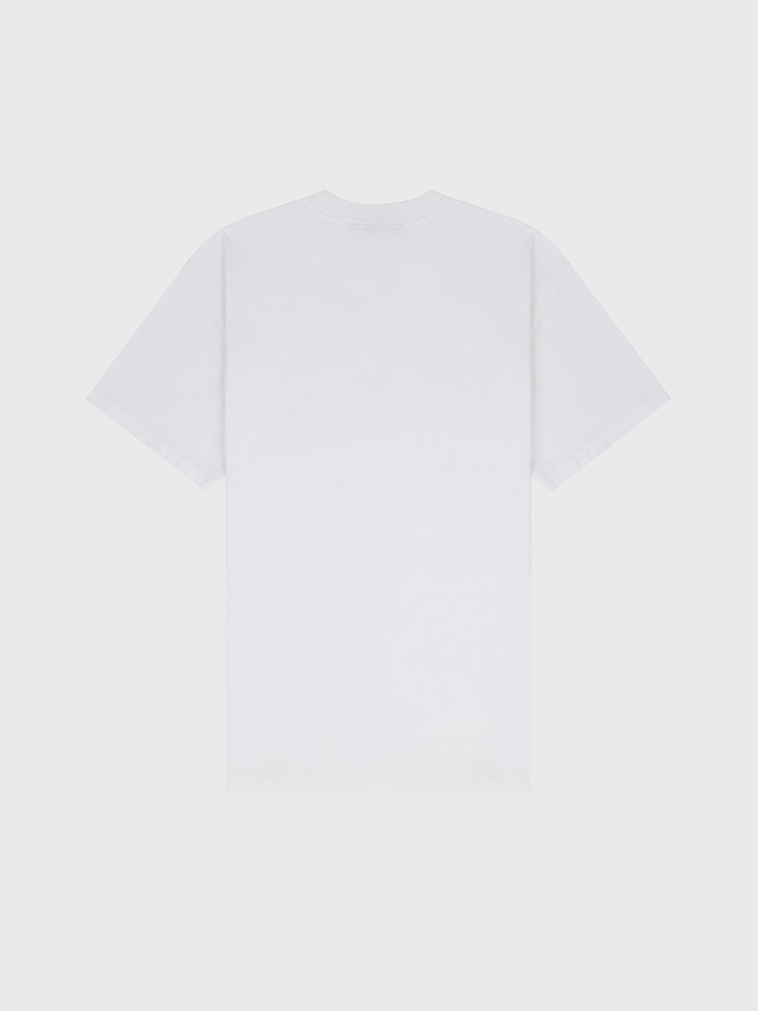 Футболка Carhartt WIP Pond Corps Pocket White Heavy stone wash