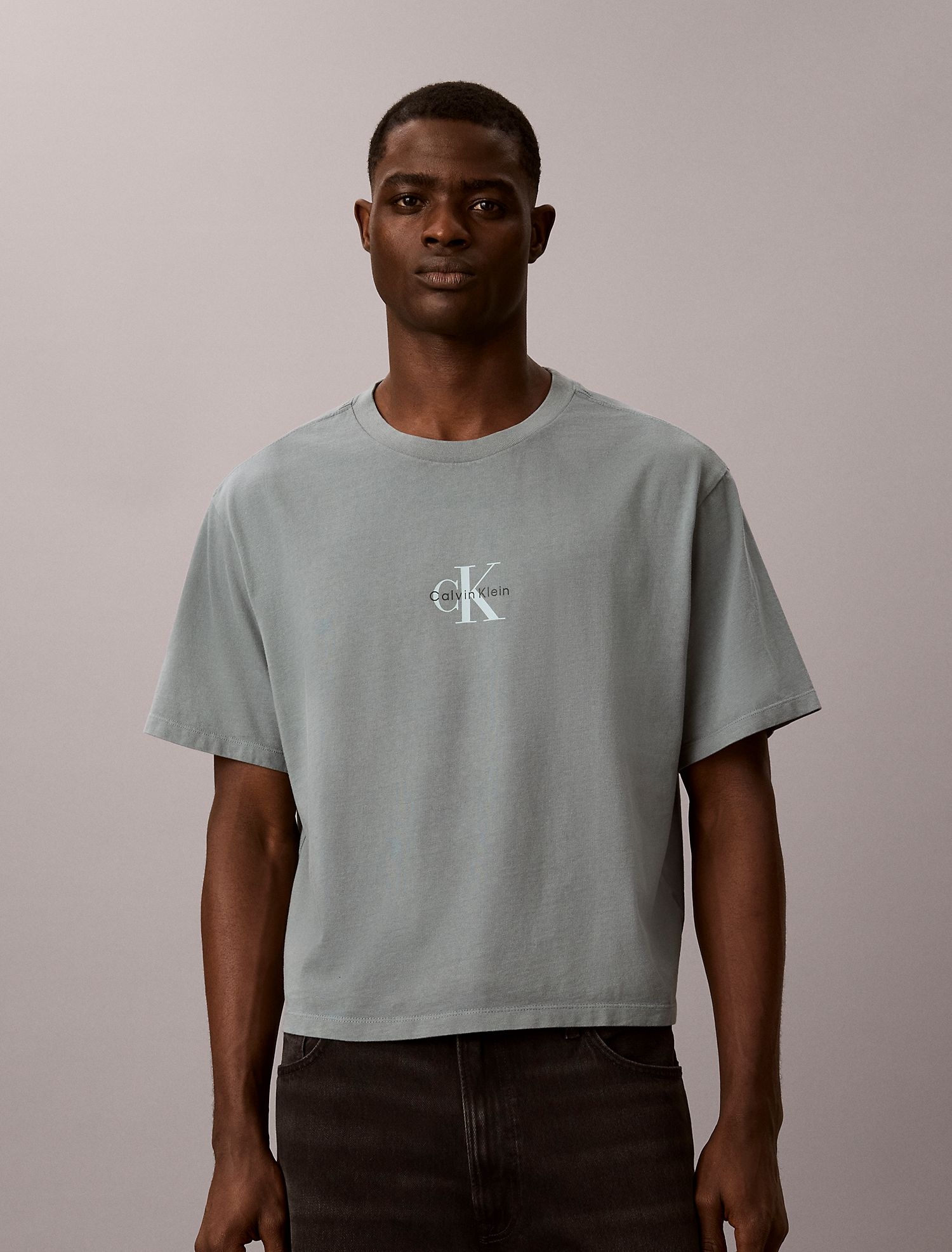 Футболка Calvin Klein Monologo 90s Fit Frosted Spruce