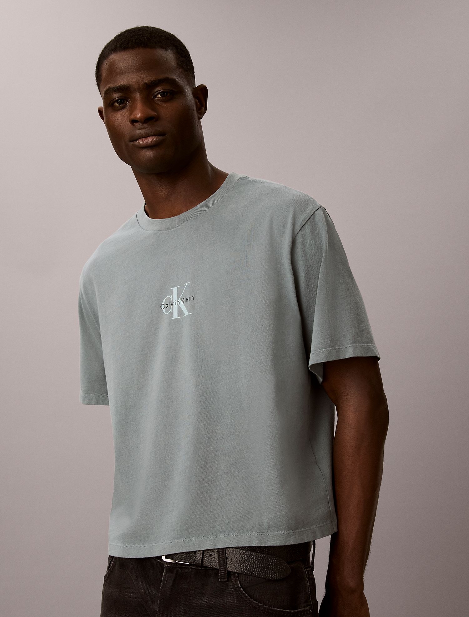 Футболка Calvin Klein Monologo 90s Fit Frosted Spruce